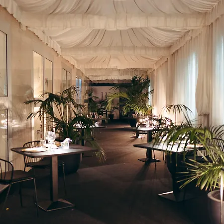 Excelsior - By Farace