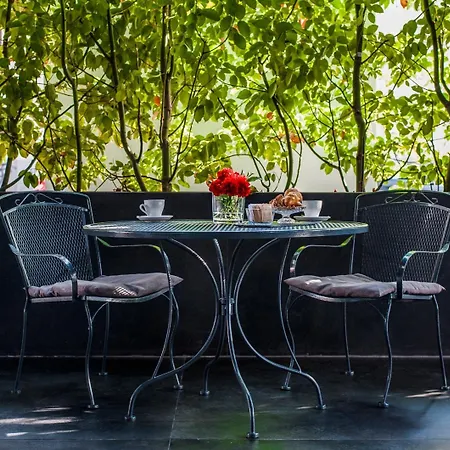 Excelsior - By Farace Bari